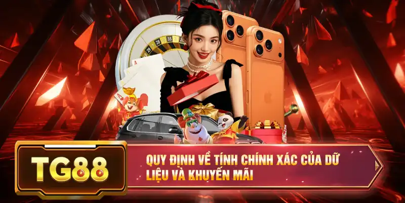 Quy định về tính chính xác của dữ liệu và khuyến mãi