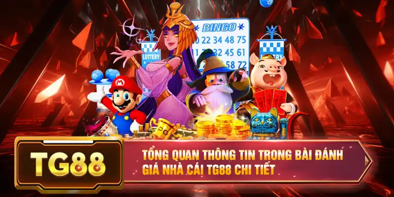 Tổng quan thông tin trong bài đánh giá nhà cái TG88 chi tiết